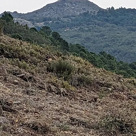 Turistico Monteceli At-cc-00748 Διαμέρισμα *