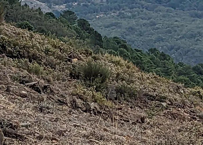 Turistico Monteceli At-cc-00748 Apartment *